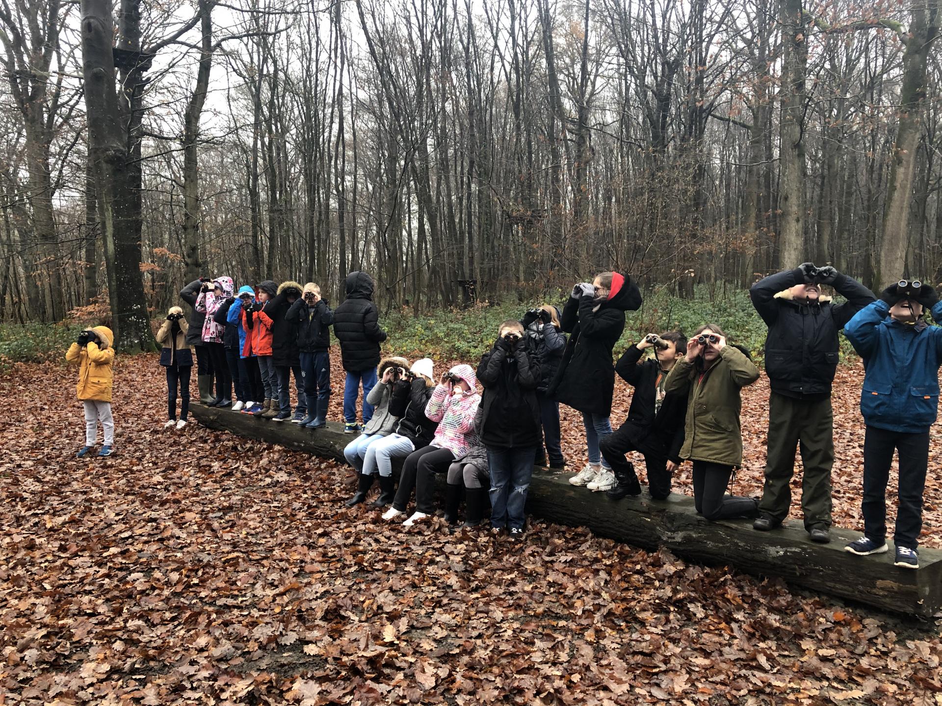 Sortie au bois d'Ailly sur Noye